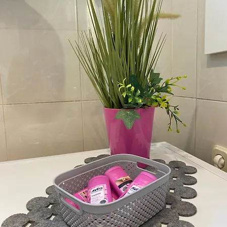Apartment Vito Zadar
